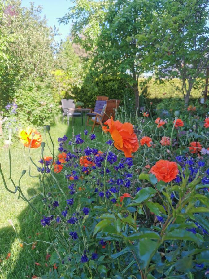 Gartenwohnung Paulsdorf Диполдисвалде Екстериор снимка