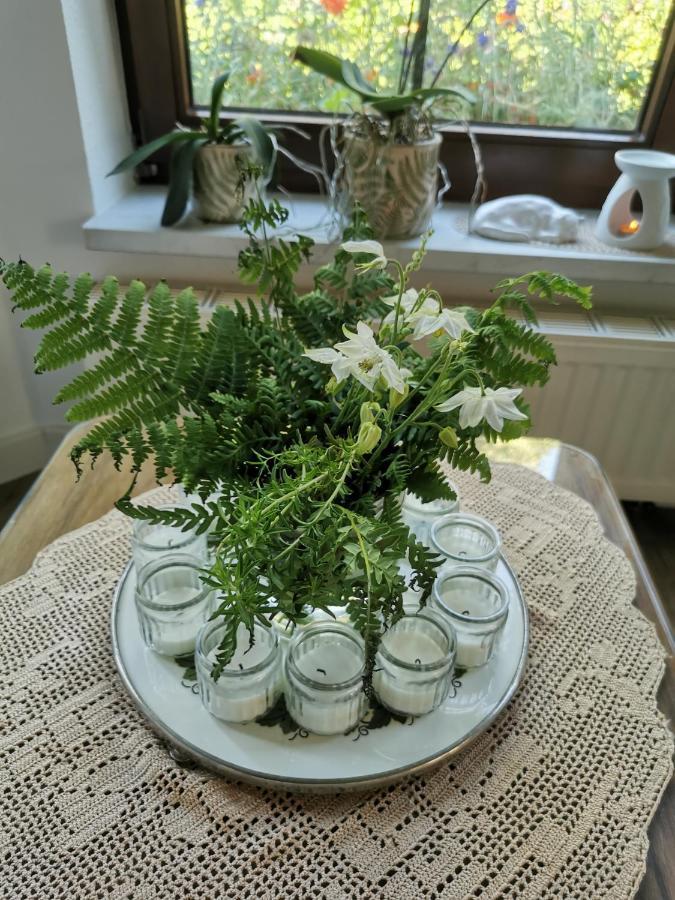 Gartenwohnung Paulsdorf Диполдисвалде Екстериор снимка